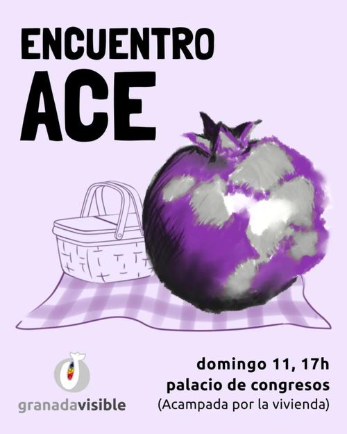 Encuentro ACE
