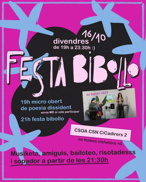 FESTA BIBOLLO