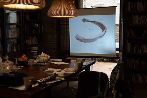 Taller: Representar y habitar la feminidad monstruosa